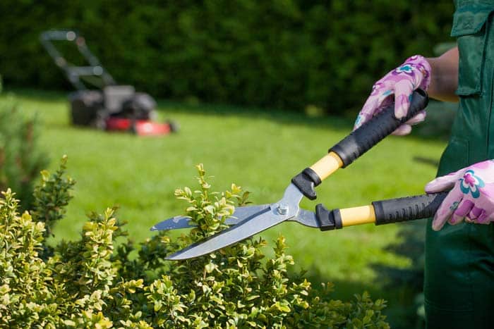 Jardinero a domicilio