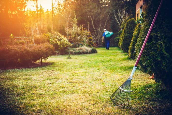 Limpieza de jardines