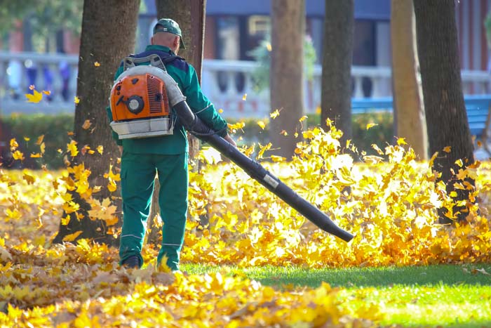 Herramientas Limpieza de jardines