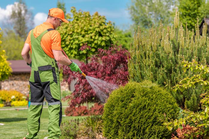 Mantenimiento de jardines de comunidades