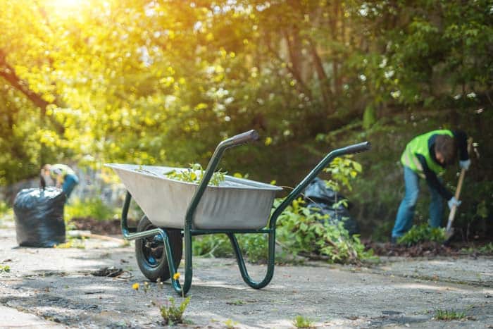 Técnicas Limpieza de jardines