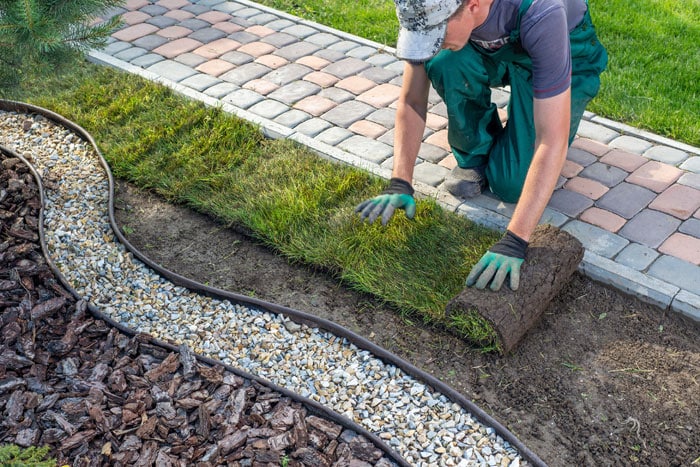 Instalación de tepés de césped natural