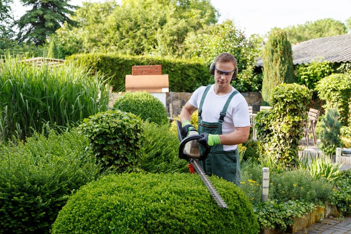 Poda de setos jardinero