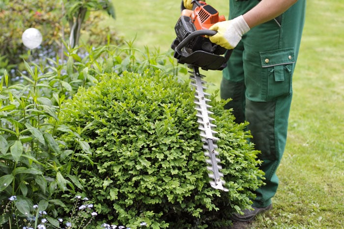 Poda de setos jardinero