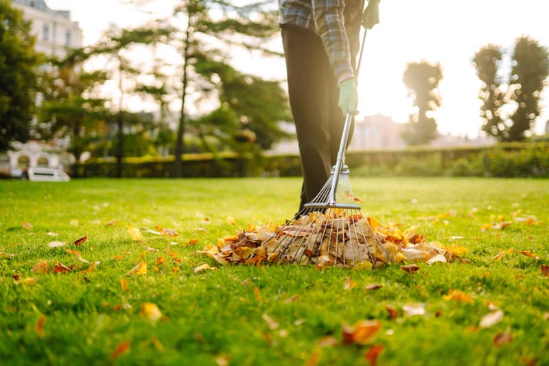 cuidar-el-cesped-en-otoño